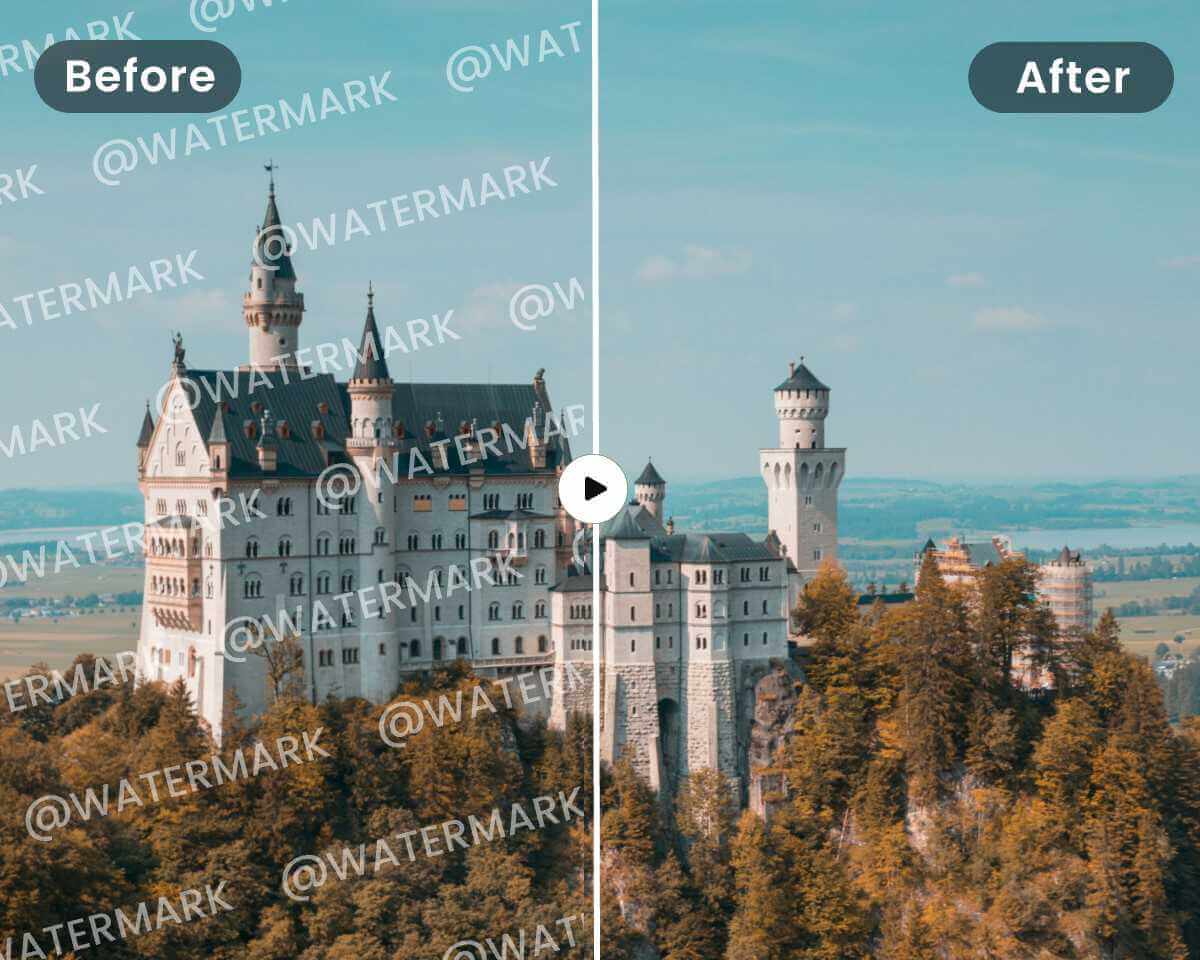 Remove Watermarks from Your Own Videos